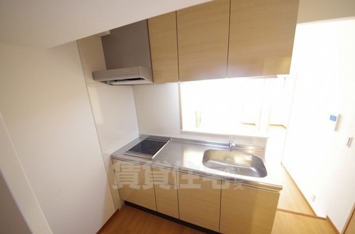 大阪府東大阪市横枕西の賃貸マンションのキッチン