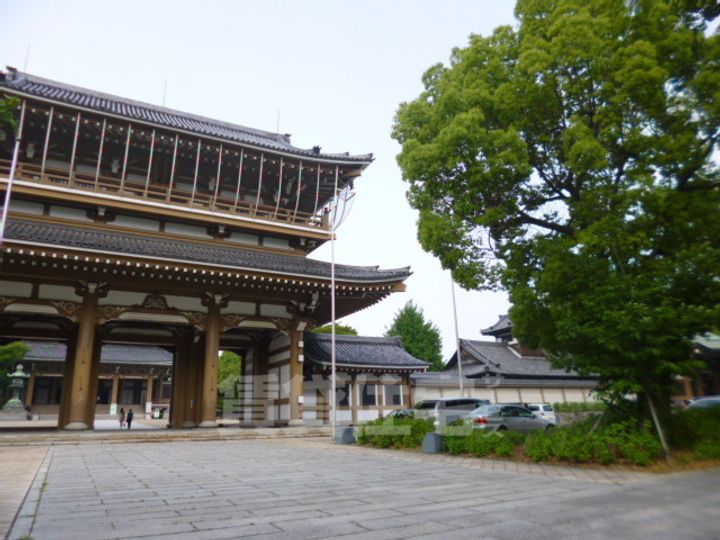グレイス金山の周辺