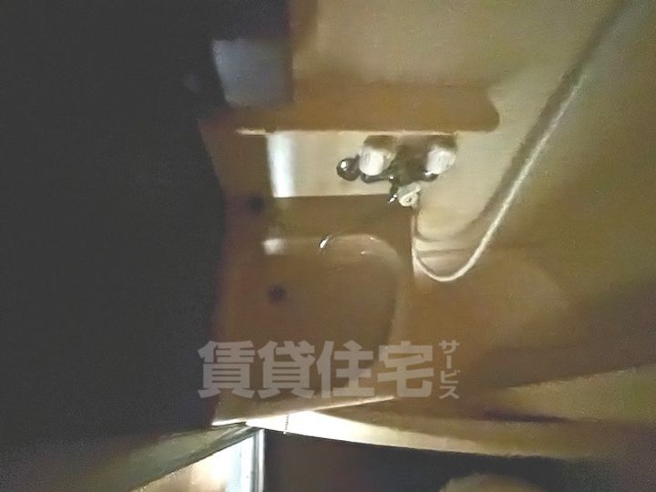 大阪府大阪市住吉区長居4丁目の賃貸マンションの内装