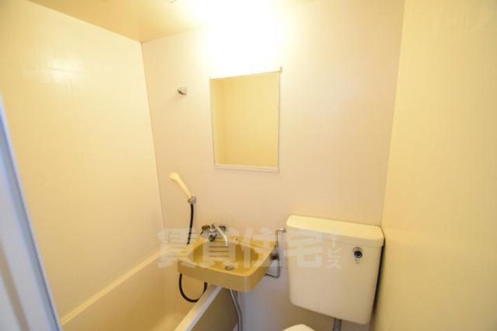 大阪府大阪市東住吉区照ケ丘矢田2丁目の賃貸マンションの内装