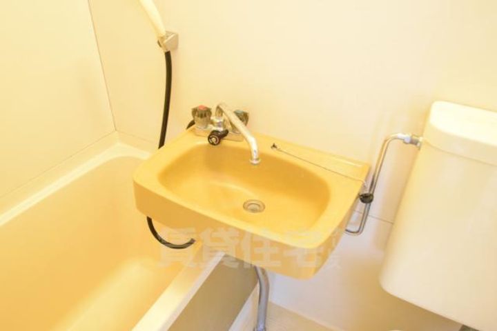 大阪府大阪市東住吉区照ケ丘矢田2丁目の賃貸マンションの内装