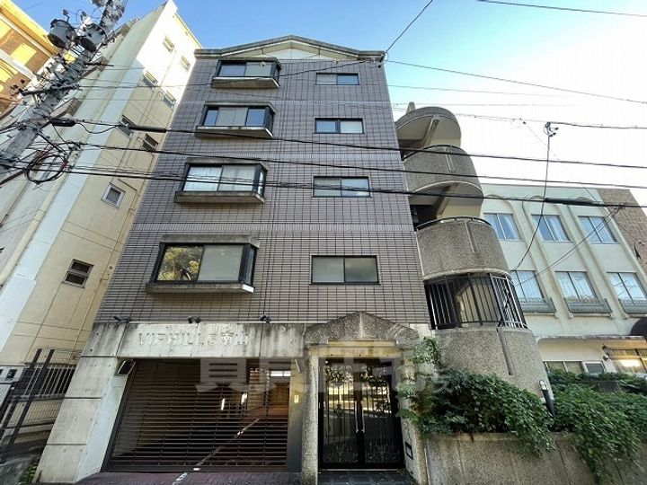 VIP HILLS 南山の外観
