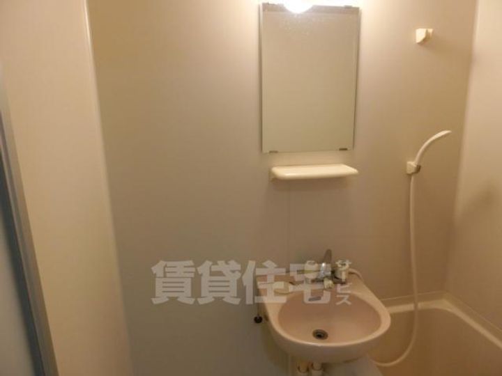 大阪府大阪市住吉区我孫子西2丁目の賃貸マンションの内装