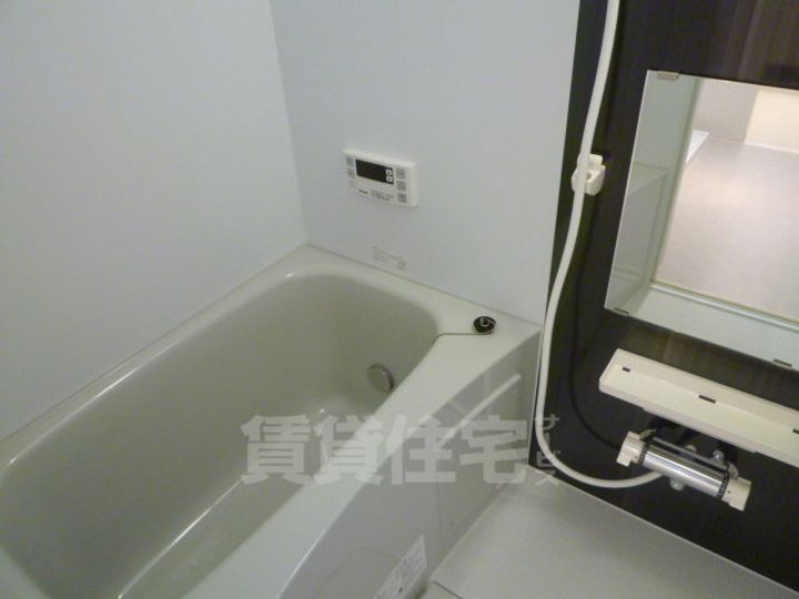 大阪府堺市東区日置荘原寺町の賃貸アパートの風呂