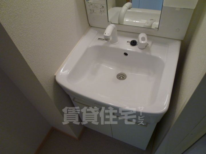 大阪府堺市堺区南旅篭町東2丁の賃貸アパートの内装