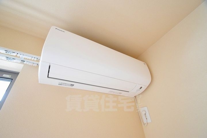 ドラ・マールのその他画像