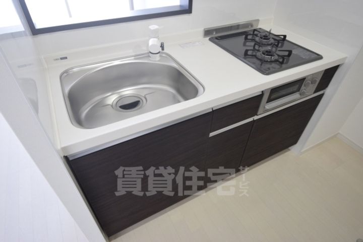 大阪府堺市堺区寺地町東3丁の賃貸マンションのキッチン