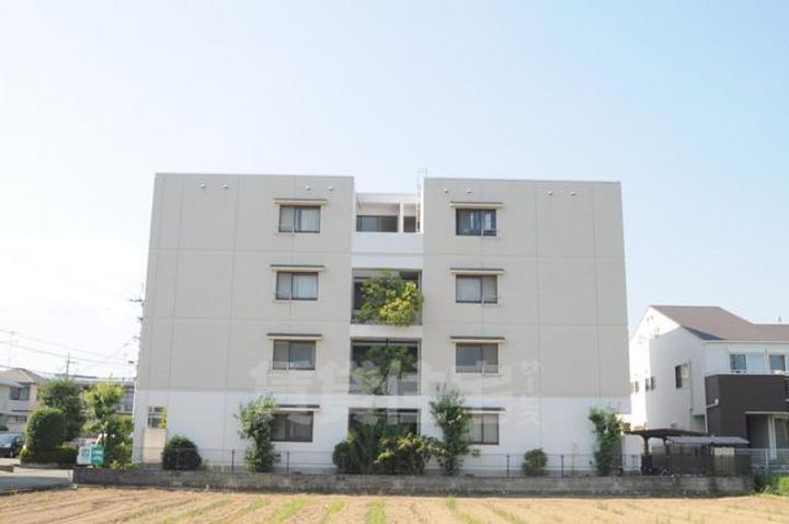 ディジェーム中村のその他画像