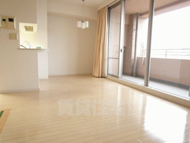 大阪府堺市堺区北瓦町1丁の賃貸マンションの居間