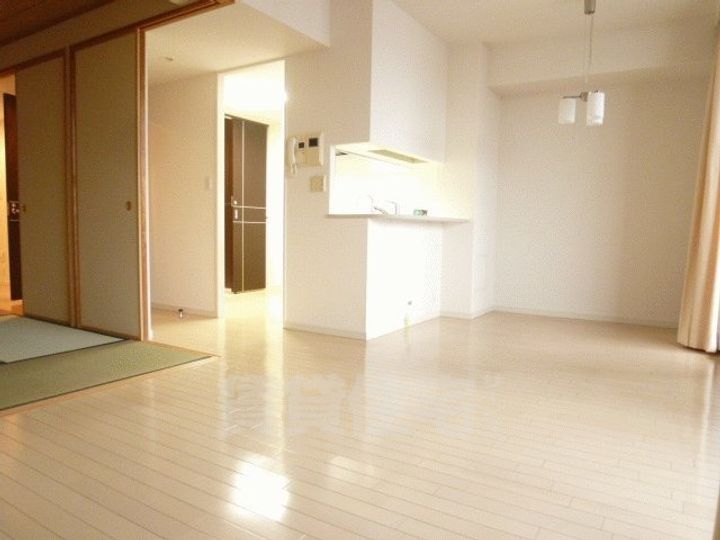 大阪府堺市堺区北瓦町1丁の賃貸マンションの居間