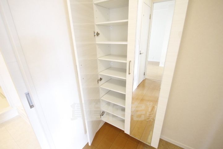 大阪府堺市堺区戎之町東3丁の賃貸アパートの玄関