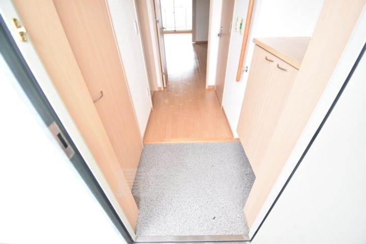 大阪府堺市中区毛穴町の賃貸マンションの玄関