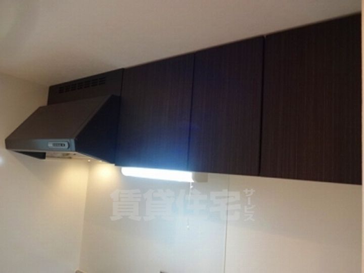 ローズモントフレア薬院2401のキッチン