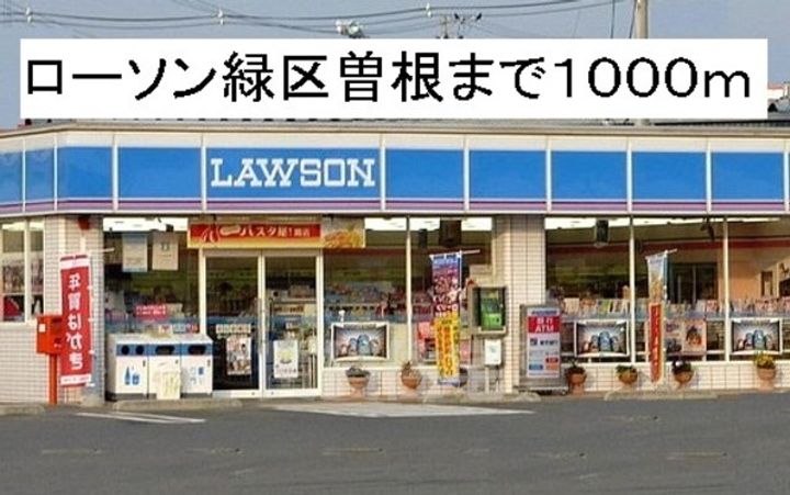 サンビタリアの周辺