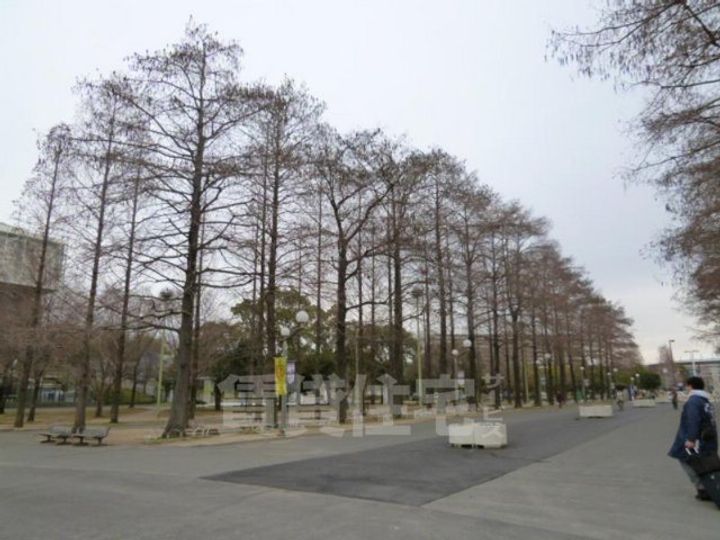 大阪府大阪市旭区清水5丁目の賃貸アパートの周辺