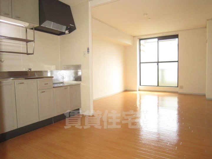 大阪府泉大津市東雲町の賃貸マンションの居間