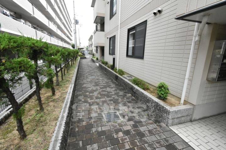 大阪府泉大津市東雲町の賃貸マンションの玄関