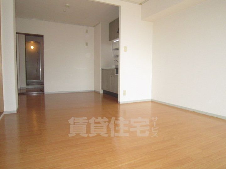 大阪府泉大津市東雲町の賃貸マンションの居間