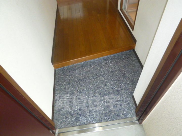 大阪府豊中市服部南町3丁目の賃貸マンションの玄関