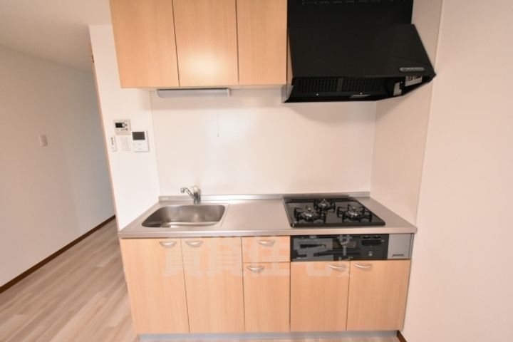 大阪府高石市羽衣4丁目の賃貸マンションのキッチン