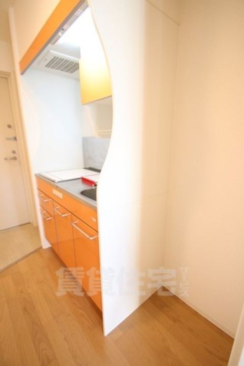 大阪府堺市堺区宿院町東4丁の賃貸マンションのキッチン