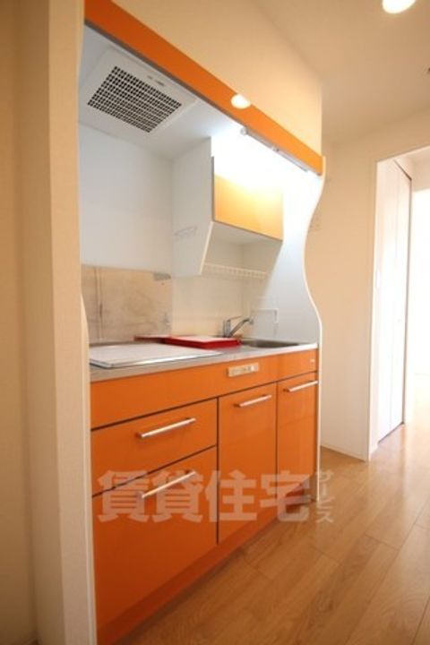 大阪府堺市堺区宿院町東4丁の賃貸マンションのキッチン