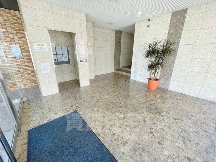 大阪府藤井寺市林2丁目の賃貸マンションの玄関