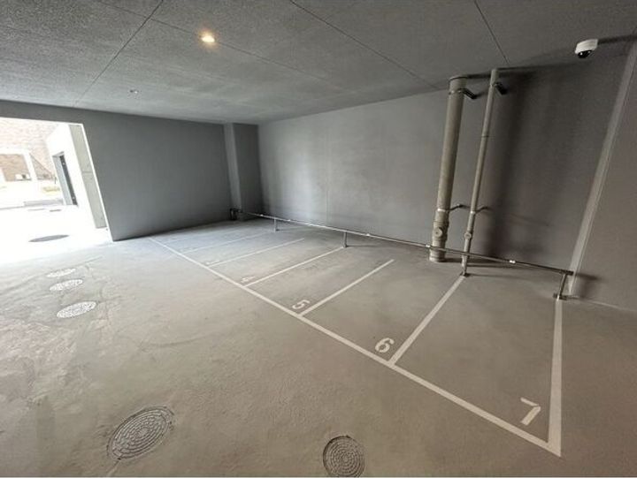 FR2カ月CP☆S-RESIDENCE名駅NorthⅡのその他画像