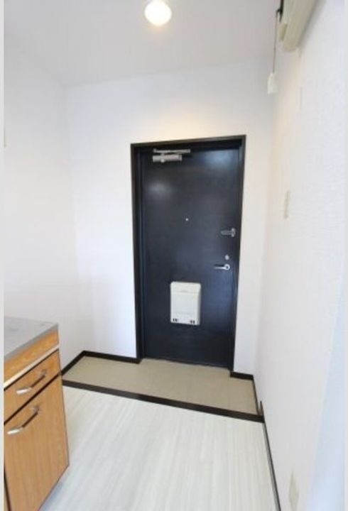 愛知県名古屋市西区平中町(マンション)の賃貸物件の玄関