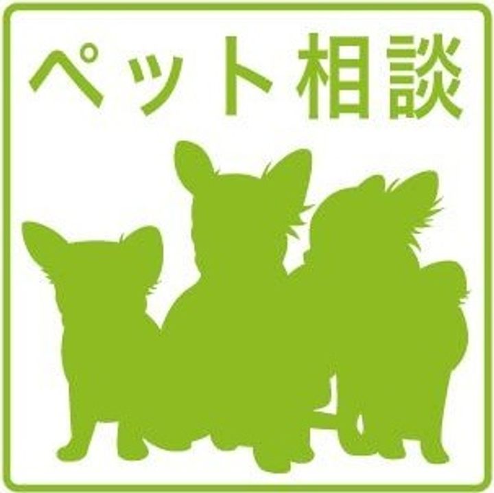 愛知県名古屋市西区上堀越町3丁目(マンション)の賃貸物件のその他画像