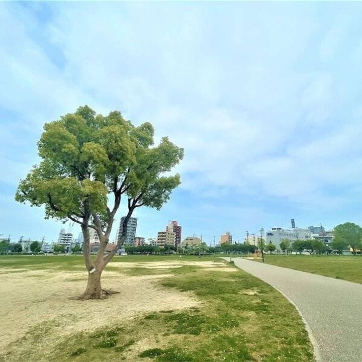 愛知県名古屋市昭和区広路本町6丁目(マンション)の賃貸物件の周辺