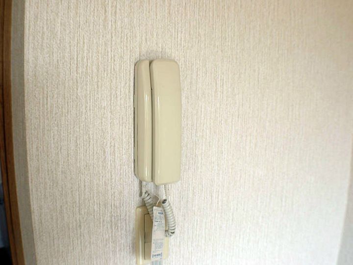 ベル・フラワーのその他画像