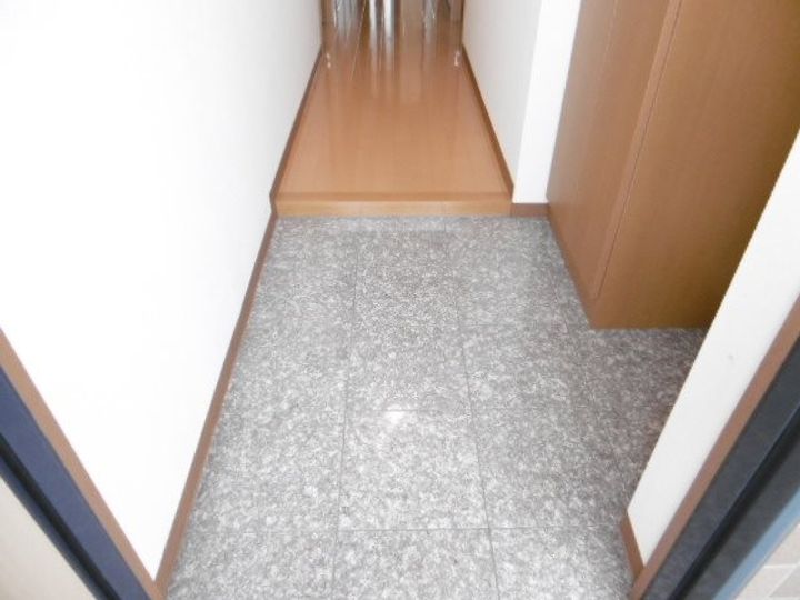 シャトー草薙の玄関