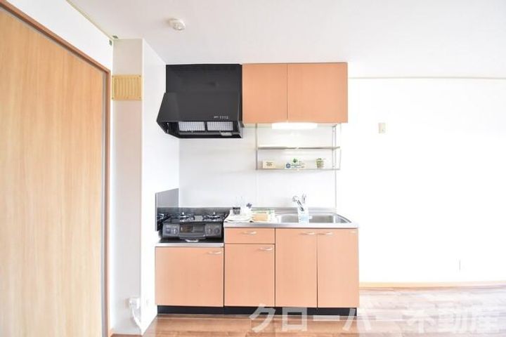 サンガーデン203のキッチン