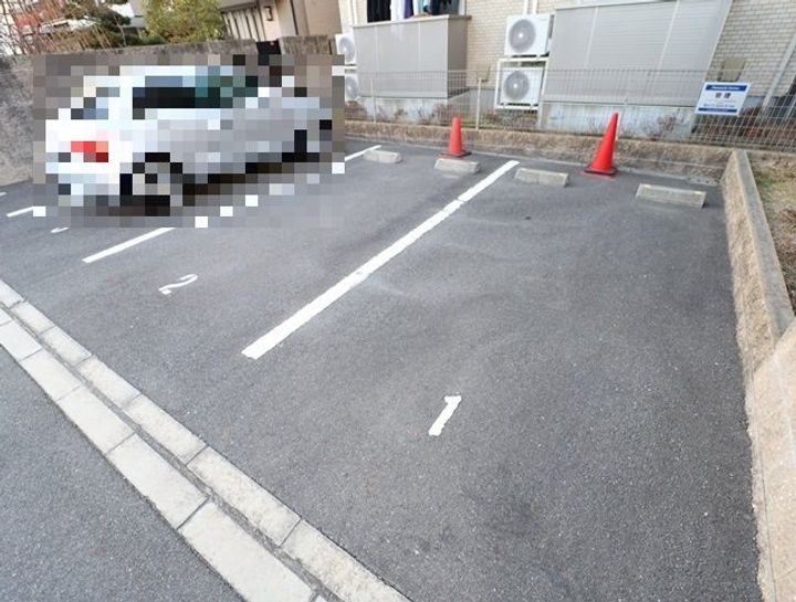 チェレイ・ドゥ・ソレイユ201のその他画像