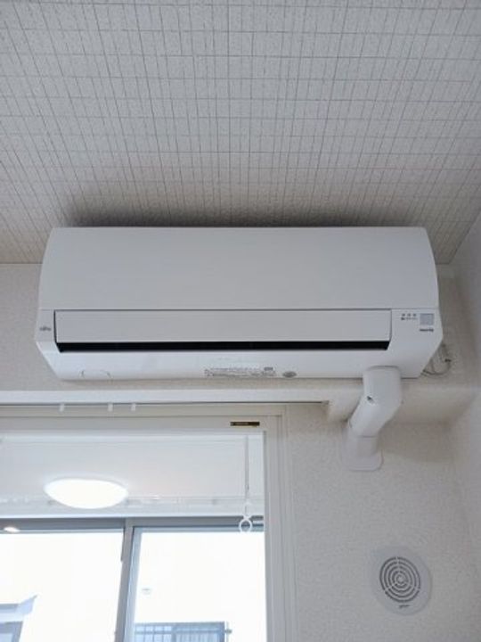 フェリスのその他画像