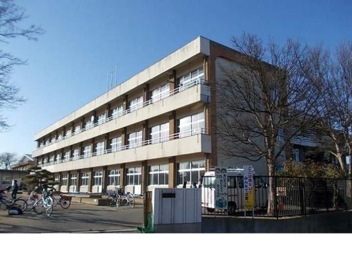 ニューカマタの周辺