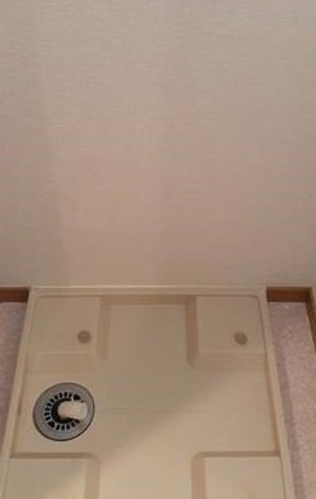 プラシードの内装