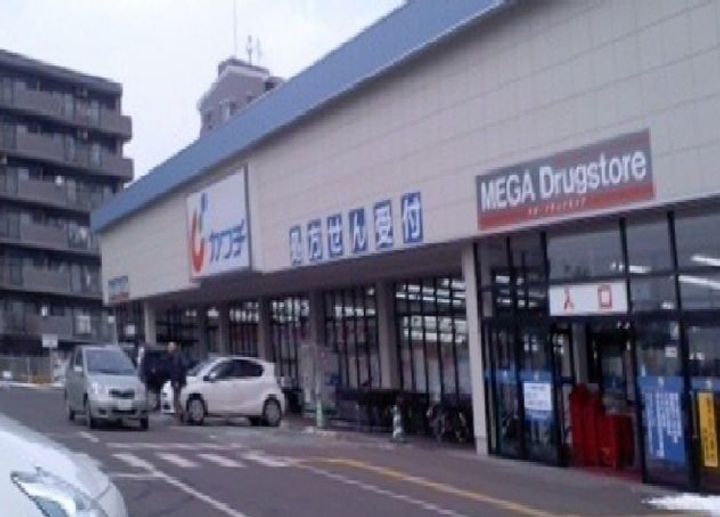 フォーシーズンの周辺