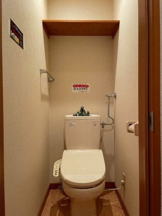 コンブリオのその他画像