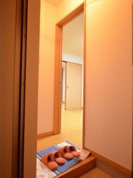 ラディアンスⅠの玄関