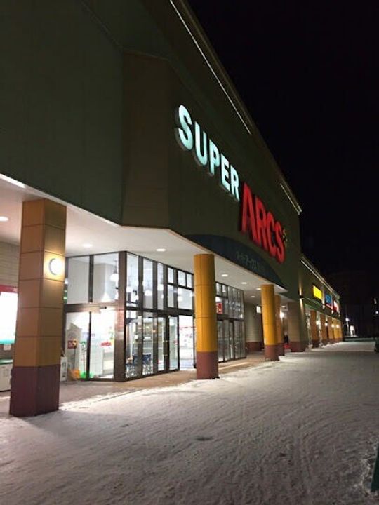 ヴィラメゾン菊水6条203の周辺