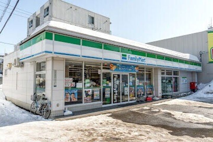 シティレジデンス南12条の周辺