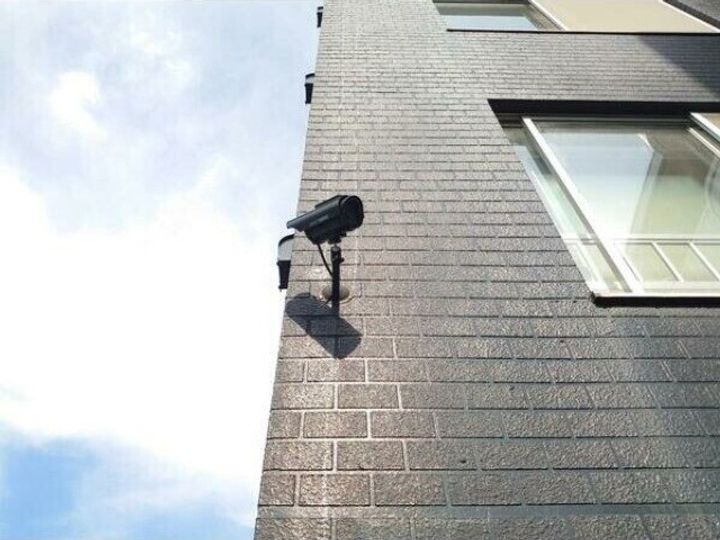 ハニサクル麻生のその他画像