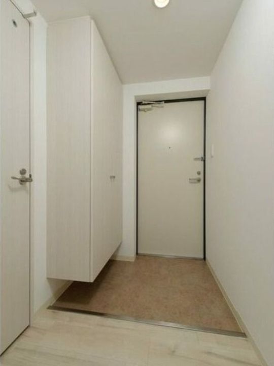 maison de fleur(メゾンドフルール)103の玄関