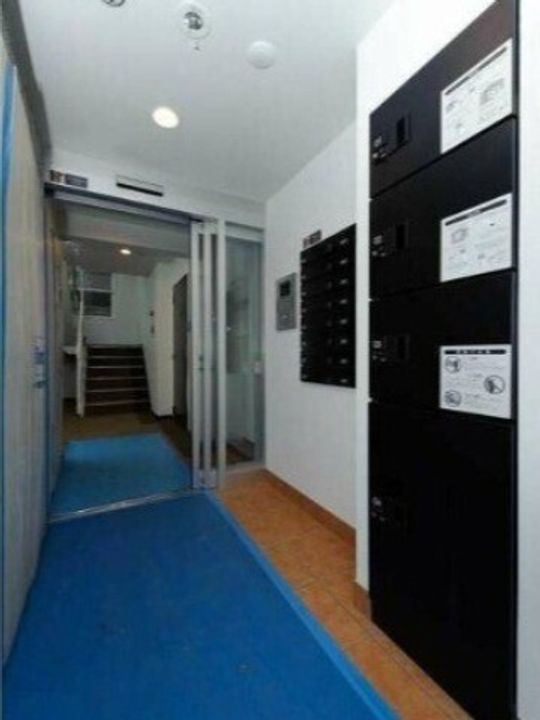 maison de fleur(メゾンドフルール)103の玄関