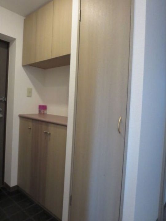 クリスタルリバー参番館の玄関