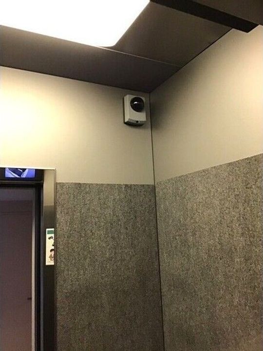 セントポーリアフラン105のその他画像