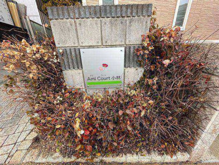 アミコート小林のその他画像