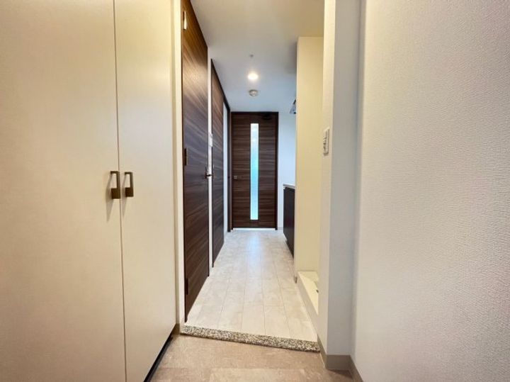 エステムコート難波サウスプレイスⅦリアンの玄関